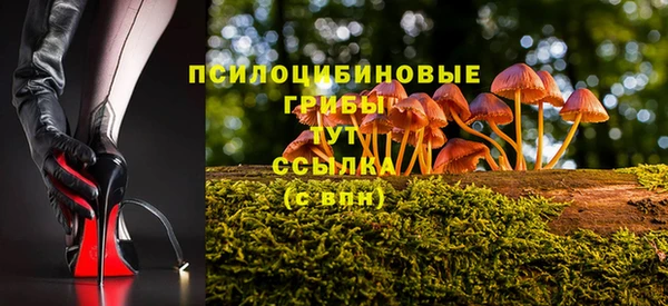 шишки Армянск