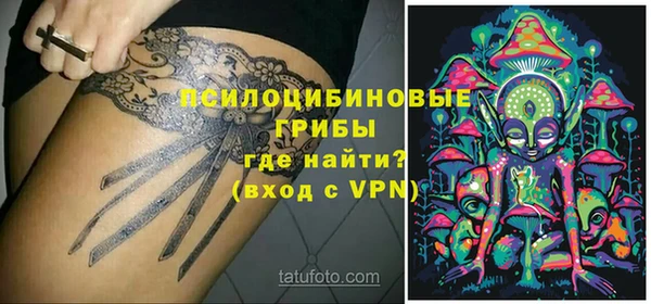спиды Алексеевка