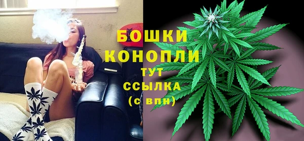 шишки Армянск