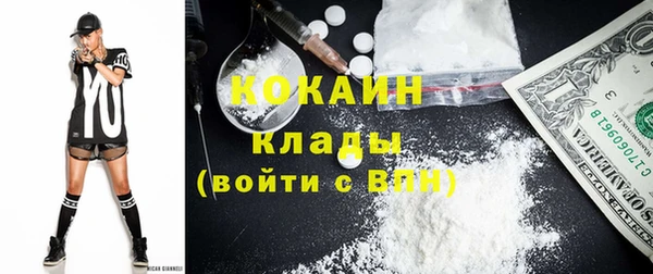 шишки Армянск